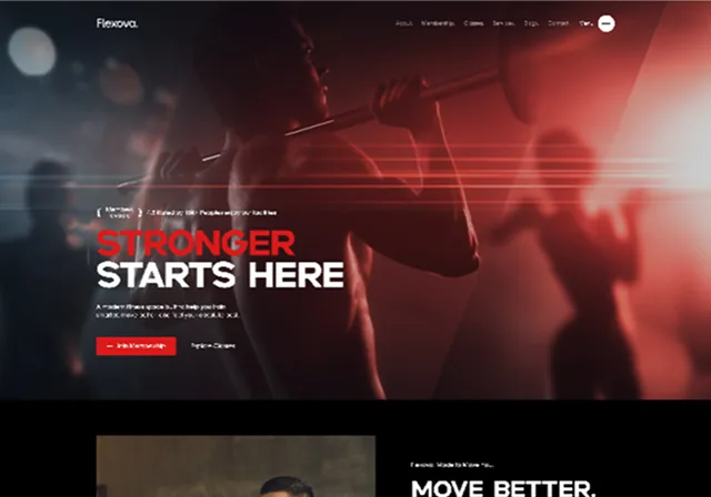 Showcase Image